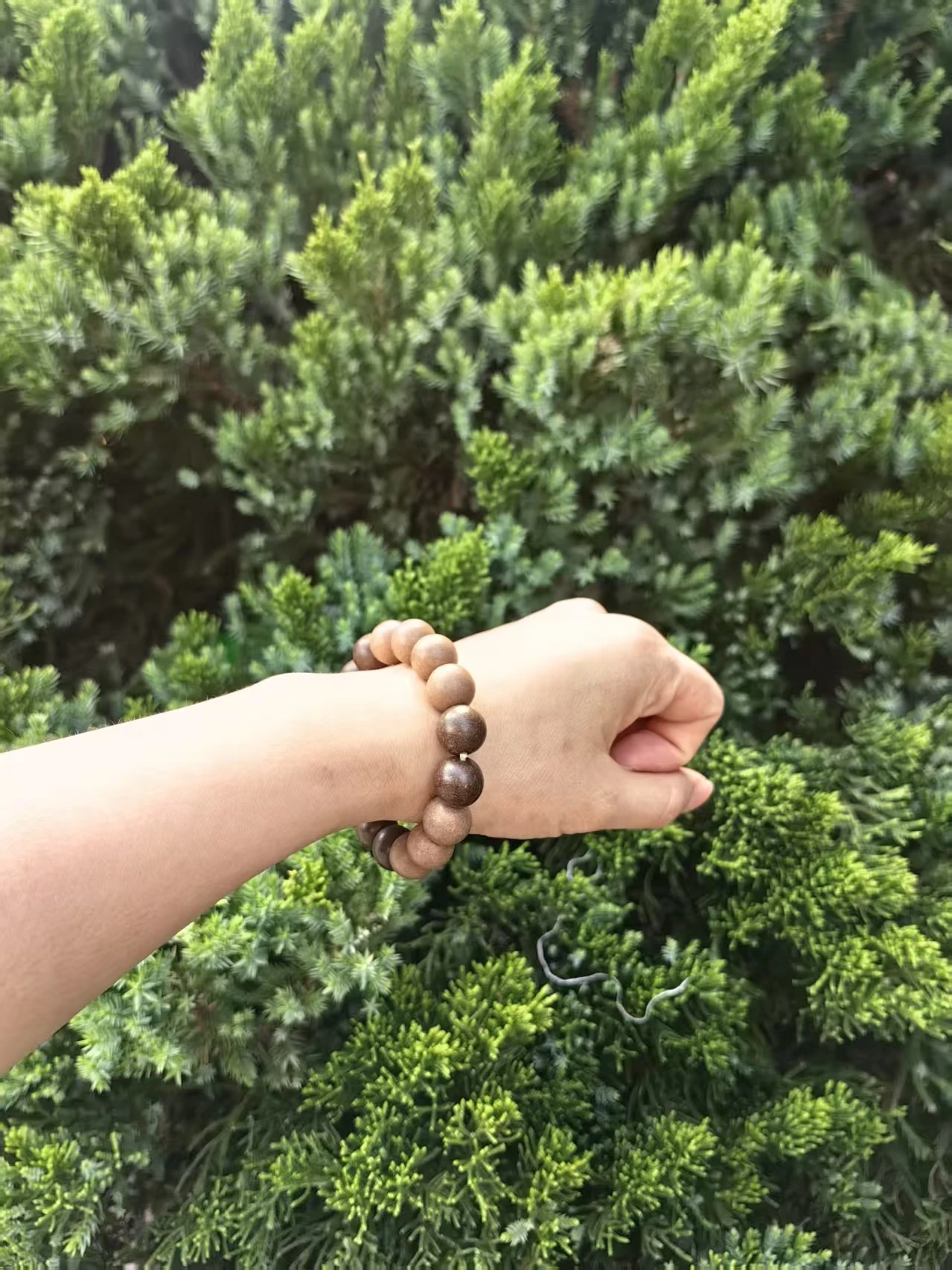 Herbylix Everlasting Harmony Herbal Bracelet photo review