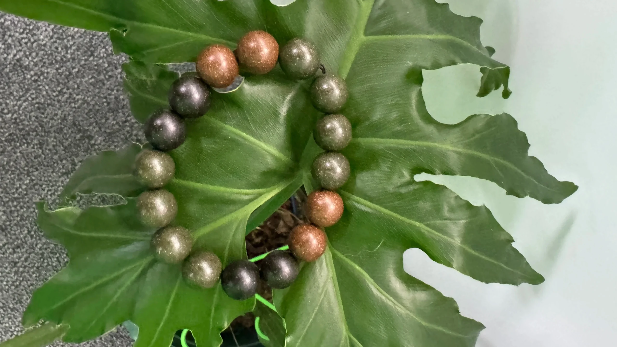 Herbylix Resilience Harmony Herbal Bracelet photo review